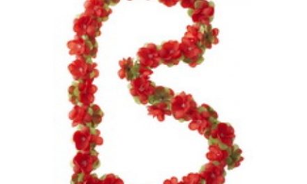 Blomsterkrans Rød plast til cykelkurv