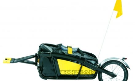 Cykelanhænger med et hjul Journey Alu m/Drybag