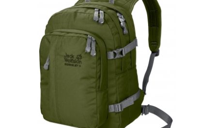 Jack Wolfskin Berkeley S – Rygsæk børn – 23 liter – Grøn
