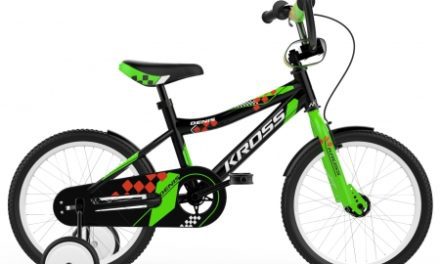 Kross Denis – Børnecykel – 16" – Sort/grøn