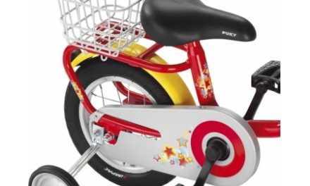 Kurv til bagagebærer Z 2 – sølv