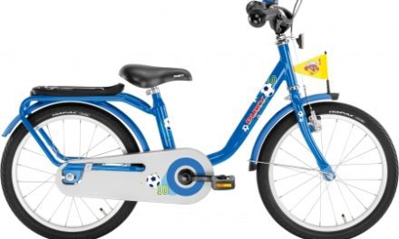 Puky – Drengecykel – Z 8 18" i stål – Blå