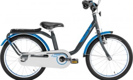 Puky – Drengecykel – Z 8 Edition 18" i stål – Grå/sort/blå