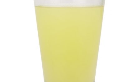 PurePower Carbo Race – Energidrik – Citrus – 50 gram