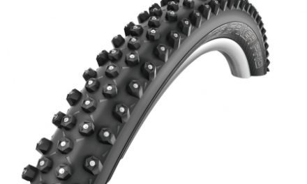 Schwalbe Ice Spiker Pro Evolution Liteskin Pig Foldedæk – 29×2,25 (57-622)