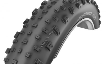 Schwalbe Jumbo Jim Evolution Line TL-Easy Foldedæk – 26×4,00