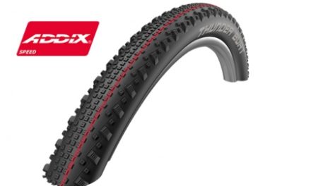 Schwalbe Thunder Burt Addix Speed Evolution Line LiteSkin Foldedæk – 29×2,10