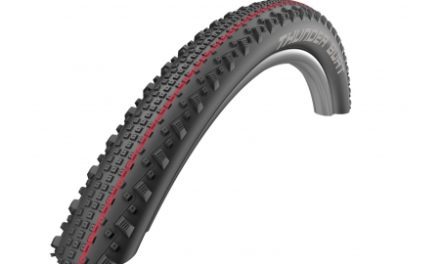 Schwalbe Thunder Burt Addix Speed Evolution Line SnakeSkin TL Easy Foldedæk – 29×2,25