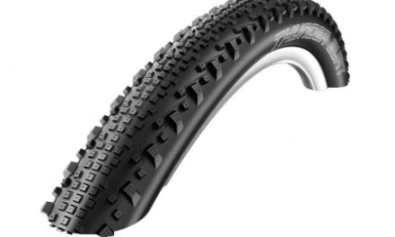 Schwalbe Thunder Burt Evolution Line TL-Easy Foldedæk – 27,5×2,10
