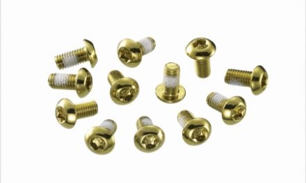 Skivebremsebolt 12 stk for og bag Guld