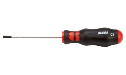Skruetrækker Würth Torx TX15 Zebra
