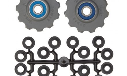 Tacx pulleyhjul med 11 tænder – Grå – Rustfrit stål