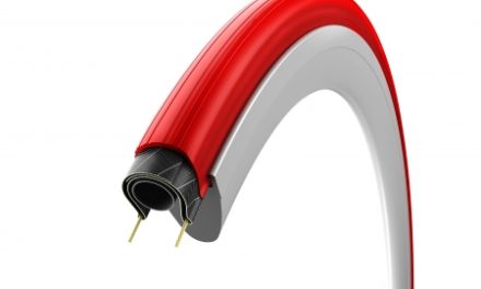 Vittoria Zaffiro Pro – Foldedæk til hometrainer – 26 x 1,1 MTB